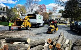 Organic Lawn Care Solutions in Vian, OK